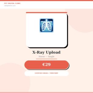 Digital Twin Horse — X-Ray & Image Upload · Single